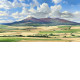 Bennachie - Board Only