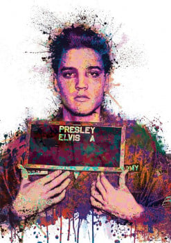 Elvis Mugshot Elvis Mugshot