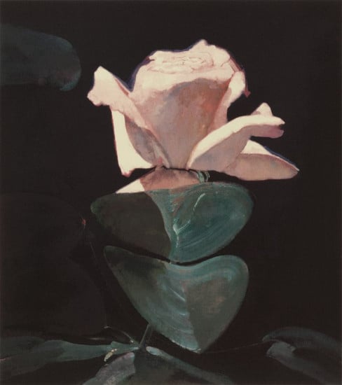 Eros Rose I - Print only Eros Rose I - Print only