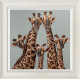 High Five - Oval Room Blue - Limited Edition - White Framed