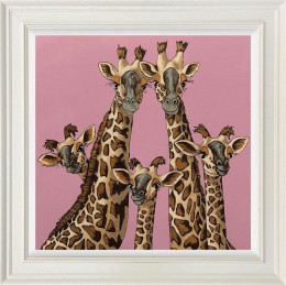 High Five - Rangwali Pink - Limited Edition - White Framed High Five - Rangwali Pink - Limited Edition - White Framed