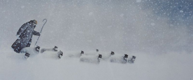 In Snow - Mounted In Snow - Mounted