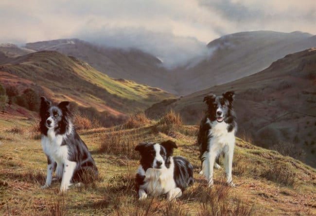 Masters Of The Hills - Print Masters Of The Hills - Print