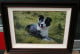 Not Now Spud - Canvas - Dark Wood Framed