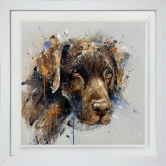 Oscar - Original - Framed Oscar - Original - Framed