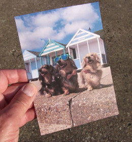 Southwold Sausage Trio - Print