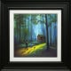 The Heart Of Oz - Limited Edition - (Standard Size) - Black Framed