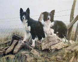 Tip And Pip