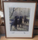Tree Fellas & Remarque - Mounted