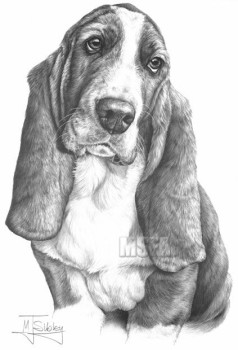 Basset Hound - Print only