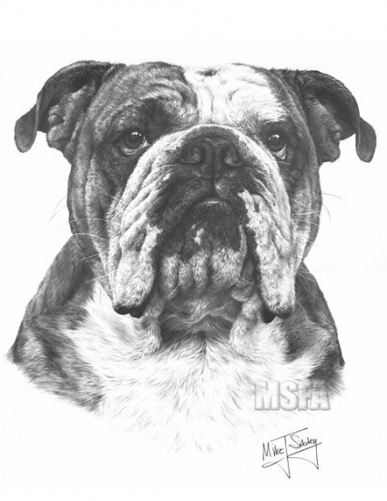 Bulldog - Print only Bulldog - Print only