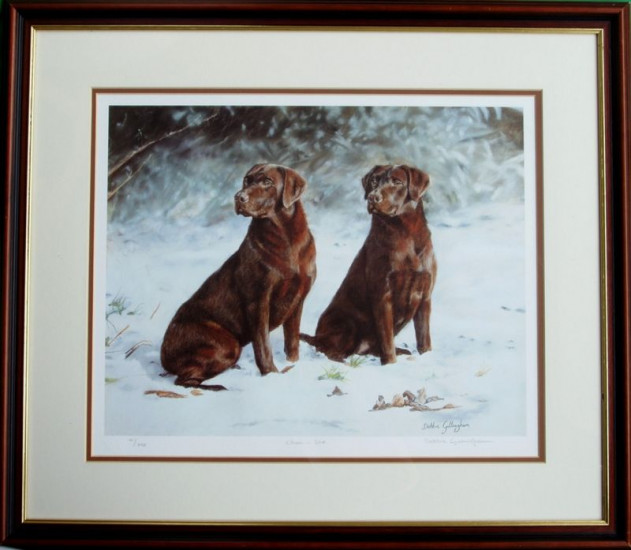 Choc Ice - Chocolate Labradors - Framed