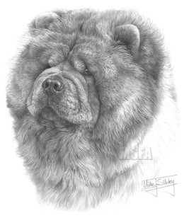 Chow Chow - Print only