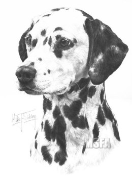 Dalmatian - Print only