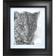 Emerald Gaze - Limited Edition Study - Black Framed