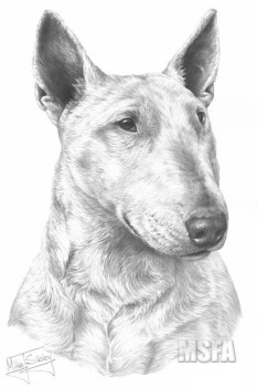 English Bull Terrier - Print only