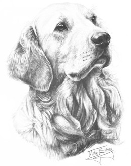 Golden Retriever - Print only