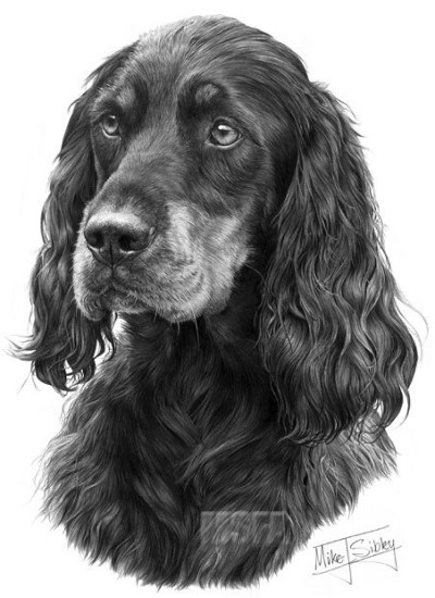 Gordon Setter - Print only