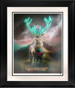 Highland Hunk - Turquoise - Black Framed