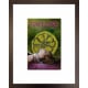 I Wanna Be Adored - 3D Songbook - Limited Edition - Framed
