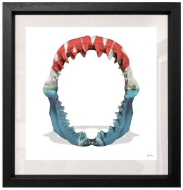 Jaws - White Background - Small Size - Framed