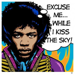 Jimi Hendrix Pop - Mounted