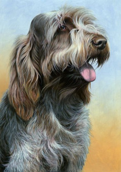 Just Dogs - Brown Roan Italian Spinone II - Dark Wood Framed