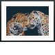 Love Is In The Air - Bonded Paper Deluxe - Framed