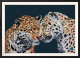 Love Is In The Air - Canvas - Framed