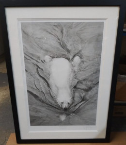 Polar Bear Swimming - Black Framed - Print