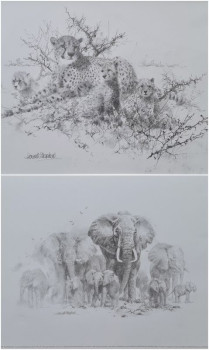 Portfolio Set I - Cheetahs & Elephants (Set Of 2) - Mounted