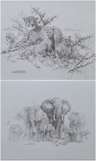 Portfolio Set I - Cheetahs & Elephants (Set Of 2)