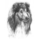 Rough Collie - Print only