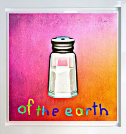 Salt Of The Earth - Canvas - White Framed