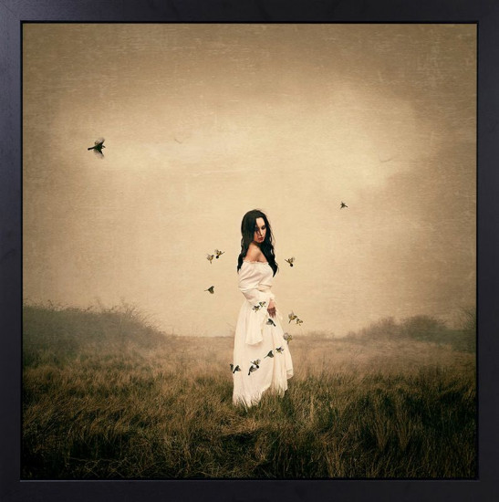 Song Bird