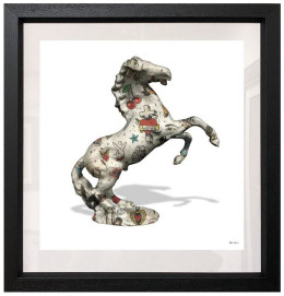 Stallion - White Background - Regular Size - Framed