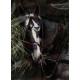 Study Of A Horse - Original - Mounted