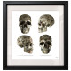 Tattooed Skulls (White Background) - Regular Size - Black Framed