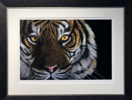 Tiger Eyes - Black Framed