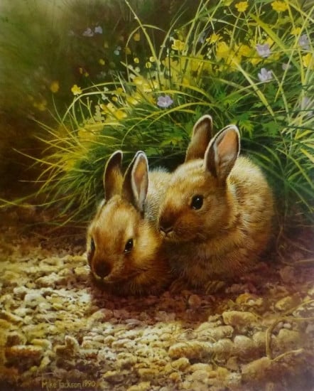 Young Rabbits - Mounted Young Rabbits - Mounted