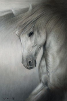 Freedom - Canvas - Framed