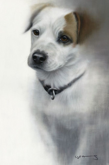 Jack Russell