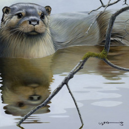 Otter - British Wildlife Series - Board With Slip