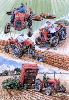 A Day In The Life Of A 35 - Massey Ferguson - Print