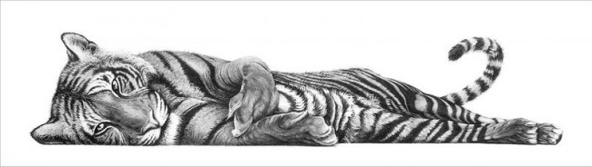 Angel Eyes - Bengal Tigress - Canvas