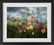 Autumn - Limited Edition - Black Framed