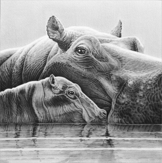 Baby Love - Hippos - Canvas