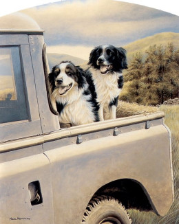 Back Seat Driver - Dark Wood Framed