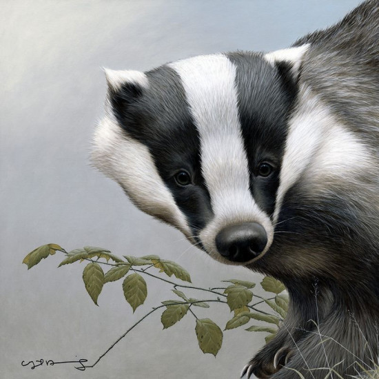 Badger - British Wildlife Series - Original