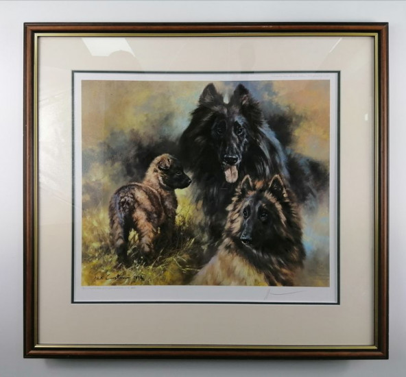 Belgium Shepherds - Brown Framed